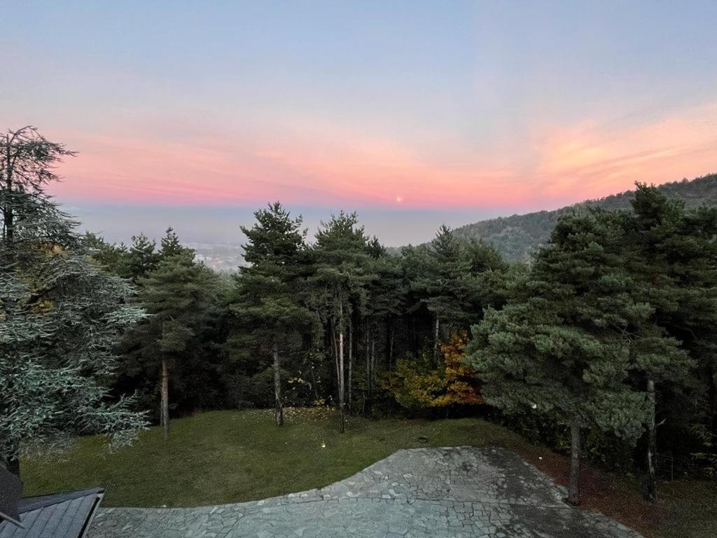 Caterina.C B&B Val della Torre Ngoại thất bức ảnh