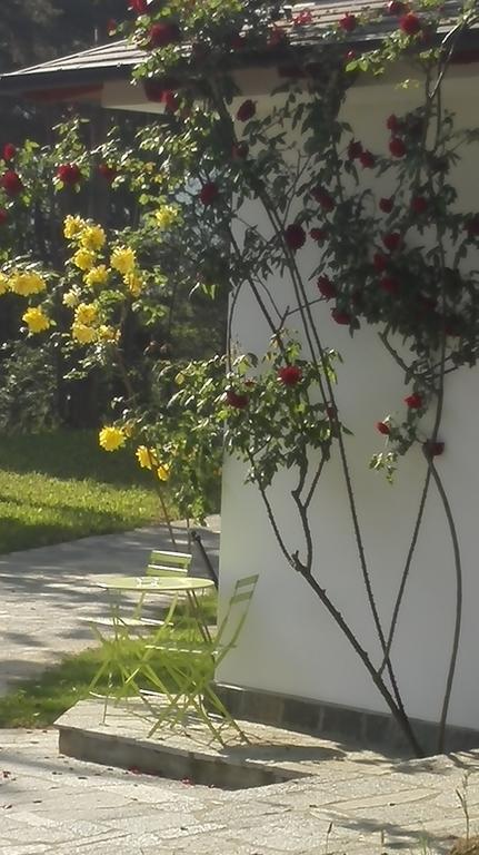 Caterina.C B&B Val della Torre Ngoại thất bức ảnh