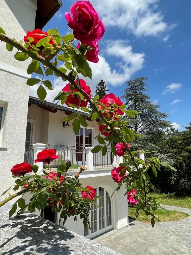Caterina.C B&B Val della Torre Ngoại thất bức ảnh
